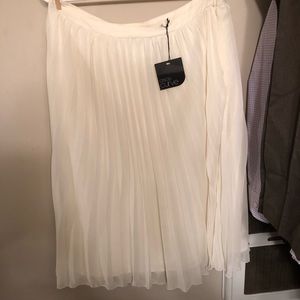 NWT ASOS Curve Modi Skirt